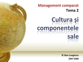 © Dan Lungescu 2007-2008 Management comparat Tema 2 