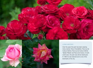 LONG HISTORY
Over the years the park has been wearing
many names: Parcul Trandaﬁrilor, Parcul şi de
Cultura Odihnă, Parcul şi de Cultura Odihnă
"Ştefan Plăvăţ" and Parcul de Cultura. In both
world wars, the park was almost destroyed.
In 1965 he was restored and is one of the
landmarks of the city.
11
 