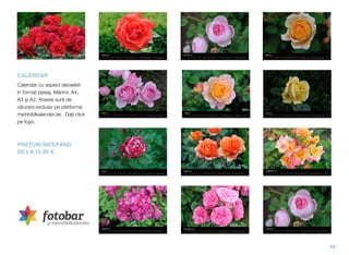 84
CALENDAR
Calendar cu aspect deosebit
în format peisaj. Mărimi: A4,
A3 şi A2. Aceste sunt de
vânzare exclusiv pe platforma
meinbildkalender.de . Daţi click
pe logo.
PREŢURI ÎNCEPÂND  
DE LA 15,90 €
MeinBildKalender.de
 