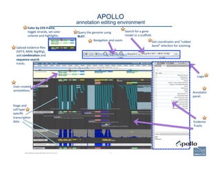 34
APOLLO 
annotation editing environment
BECOMING ACQUAINTED WITH APOLLO
Color	
  by	
  CDS	
  frame,	
  
toggle	
  stran...