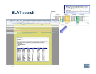 BLAT search
Example 75
 