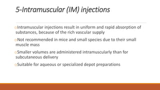 Tamu Lab Injection Route of administration | PPTX