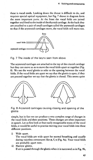 English Phonetics and Phonology By Peter Roach