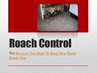 Roach Control
The Services You Need To Keep Your Home
Roach Free
 