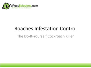 Roaches Infestation Control
 The Do-It-Yourself Cockroach Killer
 