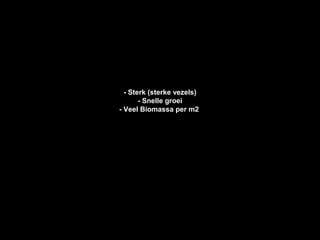 - Sterk (sterke vezels)
       - Snelle groei
- Veel Biomassa per m2
 