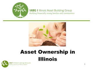 Asset Ownership in Illinois 