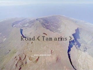 Road « Tamarins » www.jexpoz.com 