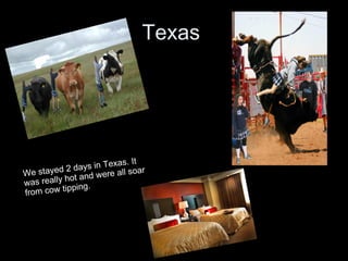 Texas We stayed 2 days in Texas. It was really hot and were all soar from cow tipping.