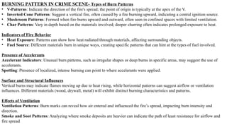 Road accidents and its forensic imp.pptx