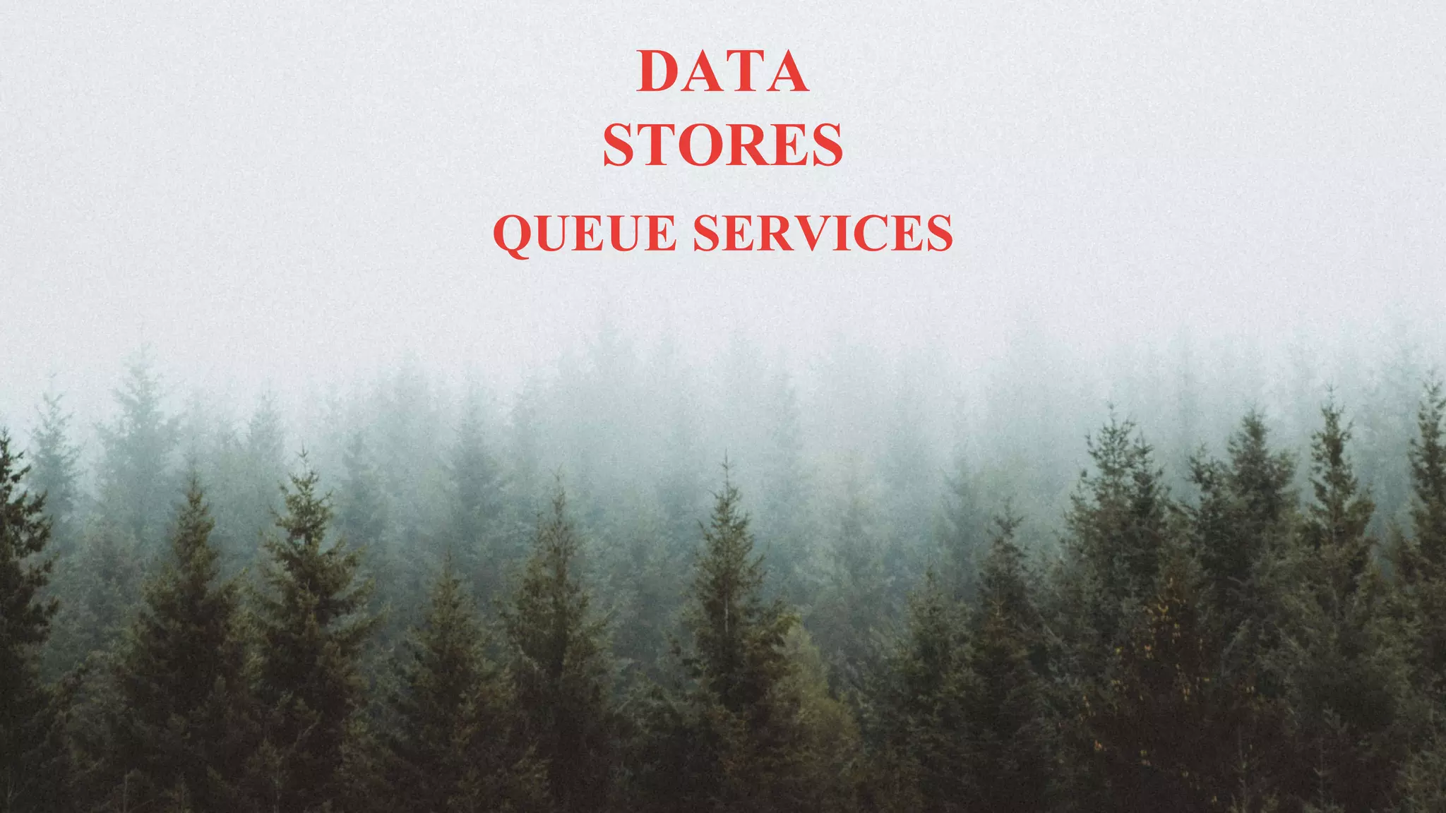 @simona_cotin
DATA
STORES
QUEUE SERVICES
 