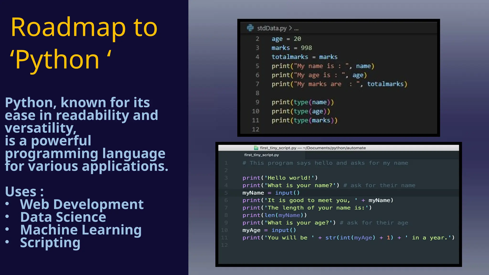 the roadmap of python for developer beginner | PPTX | Web Development ...