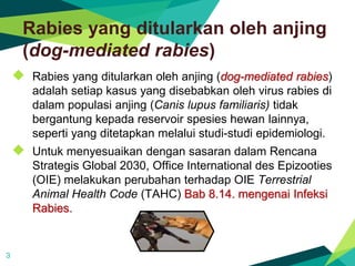 Infeksi Rabies Roadmap Pembebasan Rabies Menuju Indonesia Bebas Rabies 2030 - PUSVETMA ...