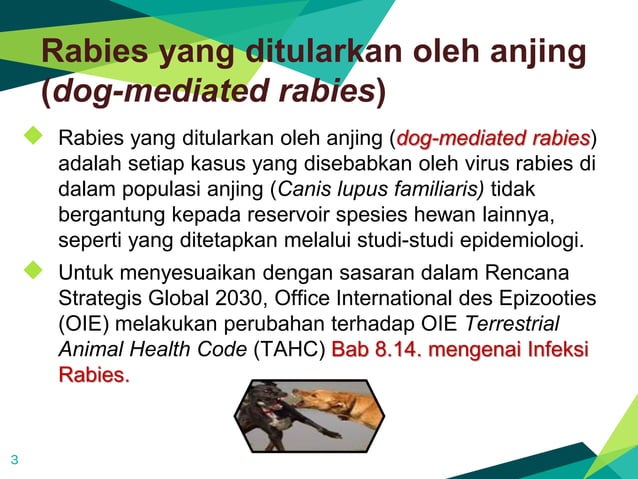 Roadmap Pembebasan Rabies Menuju Indonesia Bebas Rabies 2030 - PUSVETMA ...