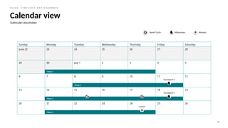 Roadmap examples for tracking long term projects | PPTX
