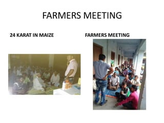 FARMERS MEETING
24 KARAT IN MAIZE FARMERS MEETING
 