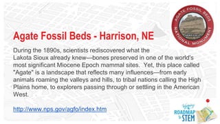 Agate Fossil Beds - Harrison, NE
During the 1890s, scientists rediscovered what the
Lakota Sioux already knew—bones preserved in one of the world's
most significant Miocene Epoch mammal sites. Yet, this place called
"Agate" is a landscape that reflects many influences—from early
animals roaming the valleys and hills, to tribal nations calling the High
Plains home, to explorers passing through or settling in the American
West.
http://www.nps.gov/agfo/index.htm
 