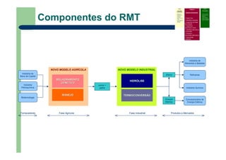 Componentes do RMT
NOVO MODELO INDUSTRIALNOVO MODELO AGRÍCOLA
Indústria de
Bens de Capital
MELHORAMENTOMELHORAMENTO
GENGENÉÉTICOTICO
MANEJOMANEJO TERMOCONVERSÃOTERMOCONVERSÃO
HIDRHIDRÓÓLISELISE
Energia
Elétrica
Etanol
Indústria de
Alimentos e Bebidas
Fase Agrícola Fase IndustrialFornecedores Produtos e Mercados
colmo +
palha
Indústria
Petroquímica
Biotecnologia
Refinarias
Indústria Química
Concessionária de
Energia Elétrica
Fase I
Atividades
Preliminares
Identificar o
problema que
precisa do
roadmap
Definir escopo e
limites
Prover liderança,
patrocínio e
recursos
Fase II
Desenvolvimento
Definir foco
Identificar requisitos
Especificar as áreas
tecnológicas
Especificar
condutores e alvos
Identificar alternativas
e horizontes
Priorizar e
recomendar alternativas
Documentar
(roadmap)
Fase III
Continuidade
– Criticar e validar
– Desenvolver um
plano de
implementação
– Revisar e atualizar
quando necessário
 