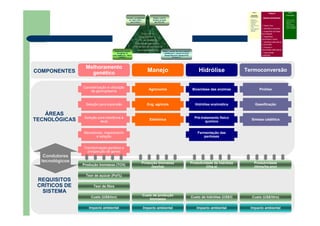 Melhoramento
genético Manejo Hidrólise Termoconversão
Caracterização e utilização
de germoplasma
Seleção para expansão
Seleção para tolerância à
seca
Marcadores, mapeamento
e selação
Transformação genética e
prospecção de genes
Agronomia
Eng. agrícola
Eletrônica
Biosíntese das enzimas
Hidrólise enzimática
Pré-tratamento físico
químico
Fermentação das
pentoses
Pirólise
Gaseificação
Síntese catálítica
COMPONENTES
ÁREAS
TECNOLÓGICAS
Fase I
Atividades
Preliminares
Identificar o
problema que
precisa do
roadmap
Definir escopo e
limites
Prover liderança,
patrocínio e
recursos
Fase II
Desenvolvimento
Definir foco
Identificar requisitos
Especificar as áreas
tecnológicas
Especificar
condutores e alvos
Identificar alternativas
e horizontes
Priorizar e
recomendar alternativas
Documentar
(roadmap)
Fase III
Continuidade
– Criticar e validar
– Desenvolver um
plano de
implementação
– Revisar e atualizar
quando necessário
Produção biomassa (TCH)
Teor de açúcar (Pol%)
Teor de fibra
Custo (US$/ton)
Impacto ambiental
Produção biomassa
(ton/ha)
Custo de produção
biomassa
Impacto ambiental
Produtividade da hidrólise
(l/ha.a)
Custo da hidrólise (US$/l)
Impacto ambiental
Produtividade
(litros/ha.ano)
Custo (US$/litro)
Impacto ambiental
REQUISITOS
CRÍTICOS DE
SISTEMA
Condutores
tecnológicos
 