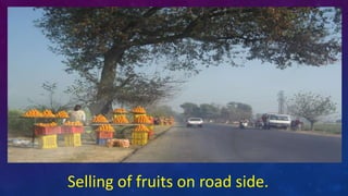 Selling of fruits on road side.
 
