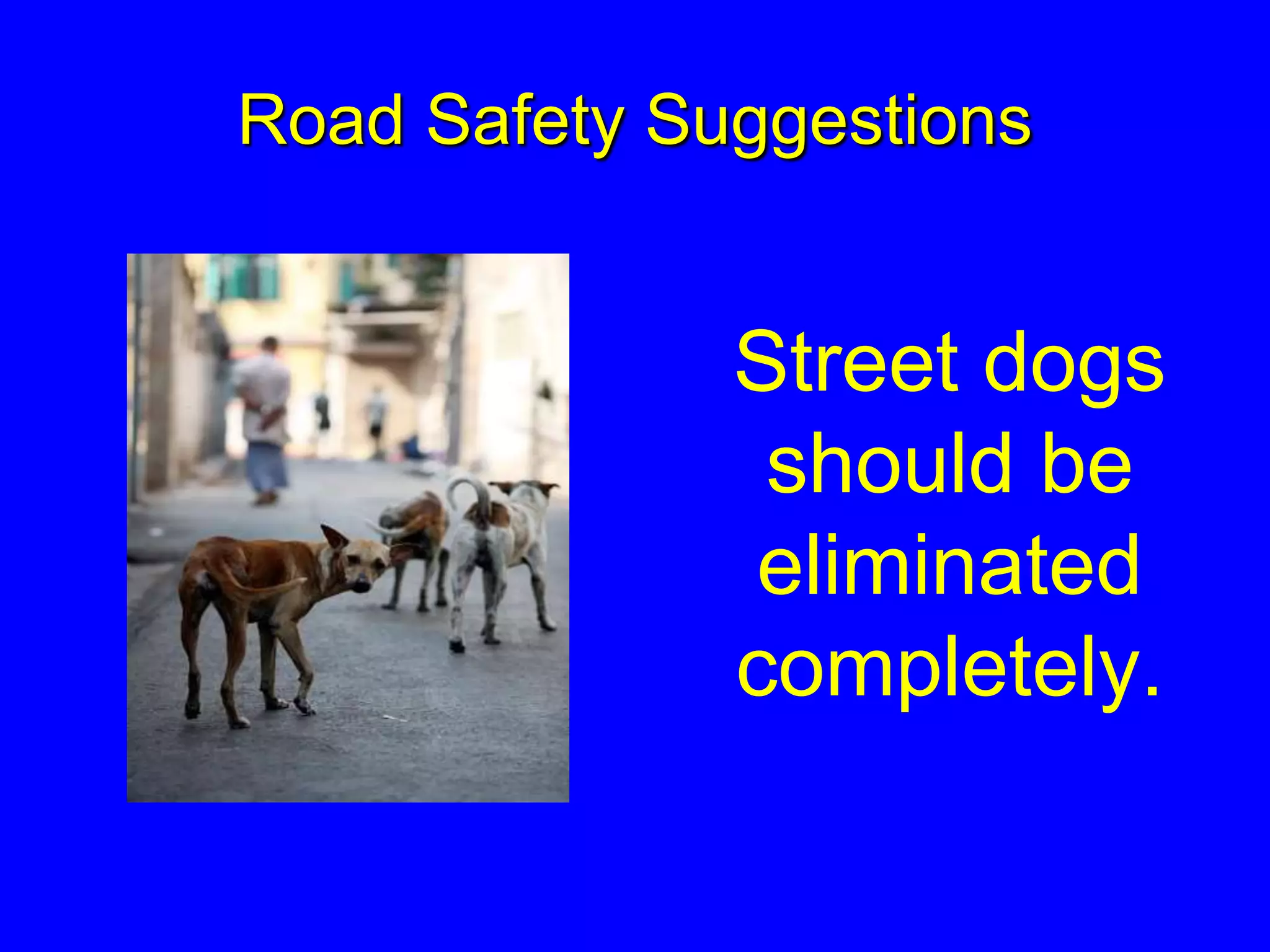 Road Safety Suggestions
Street dogs
should be
eliminated
completely.
 