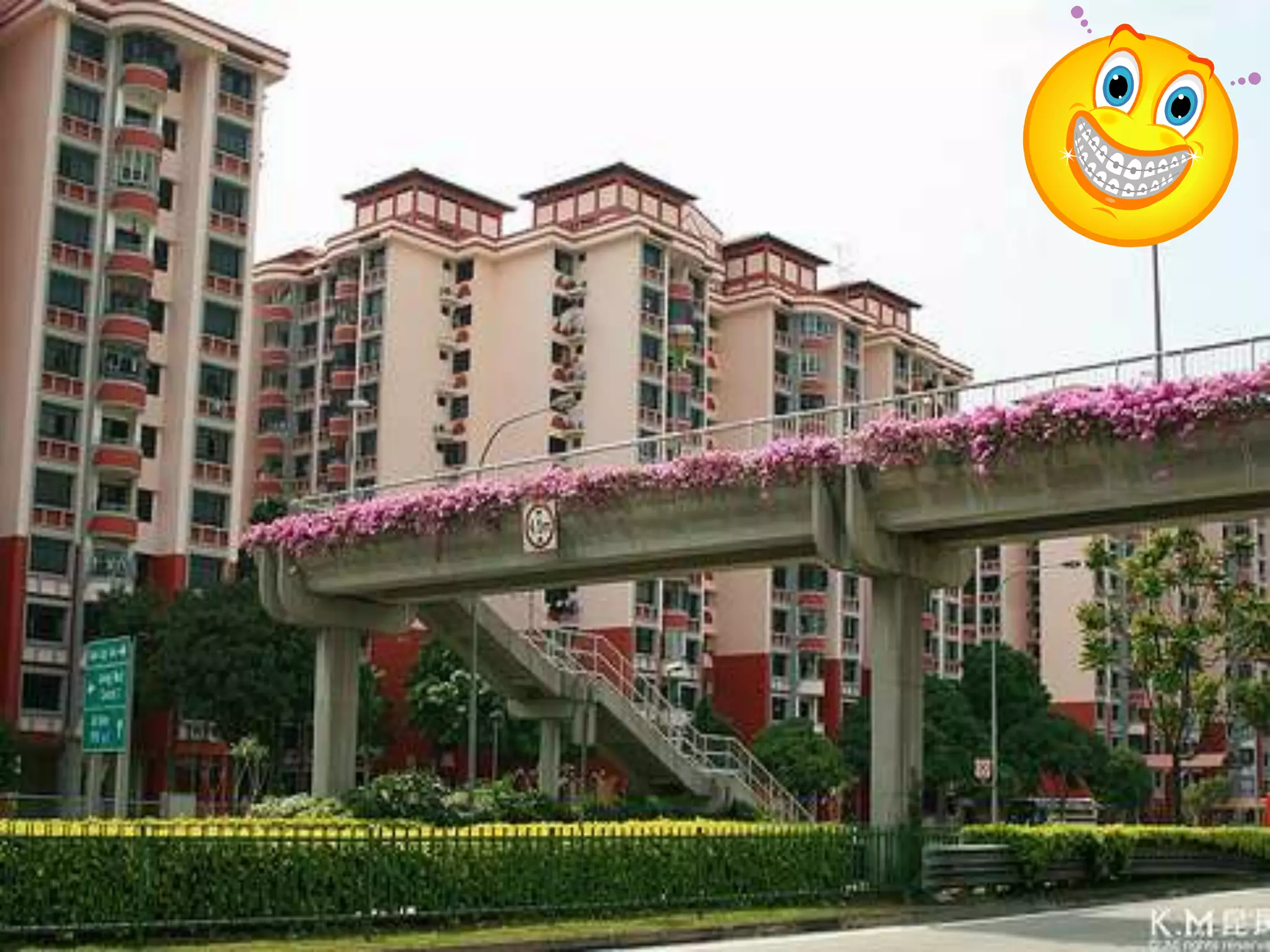 Road Safety Presentation