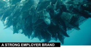 A STRONG EMPLOYER BRAND
 