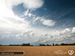 Fields near Euroa
 