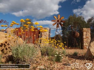Euroa Arboretum
 