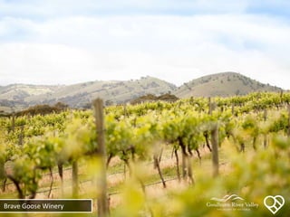 Brave Goose Winery
 