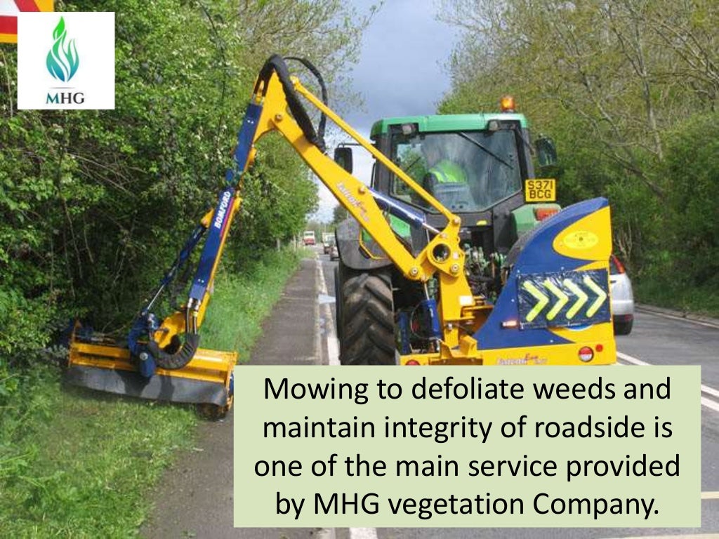 Roadside Weeds Identification and Prevention