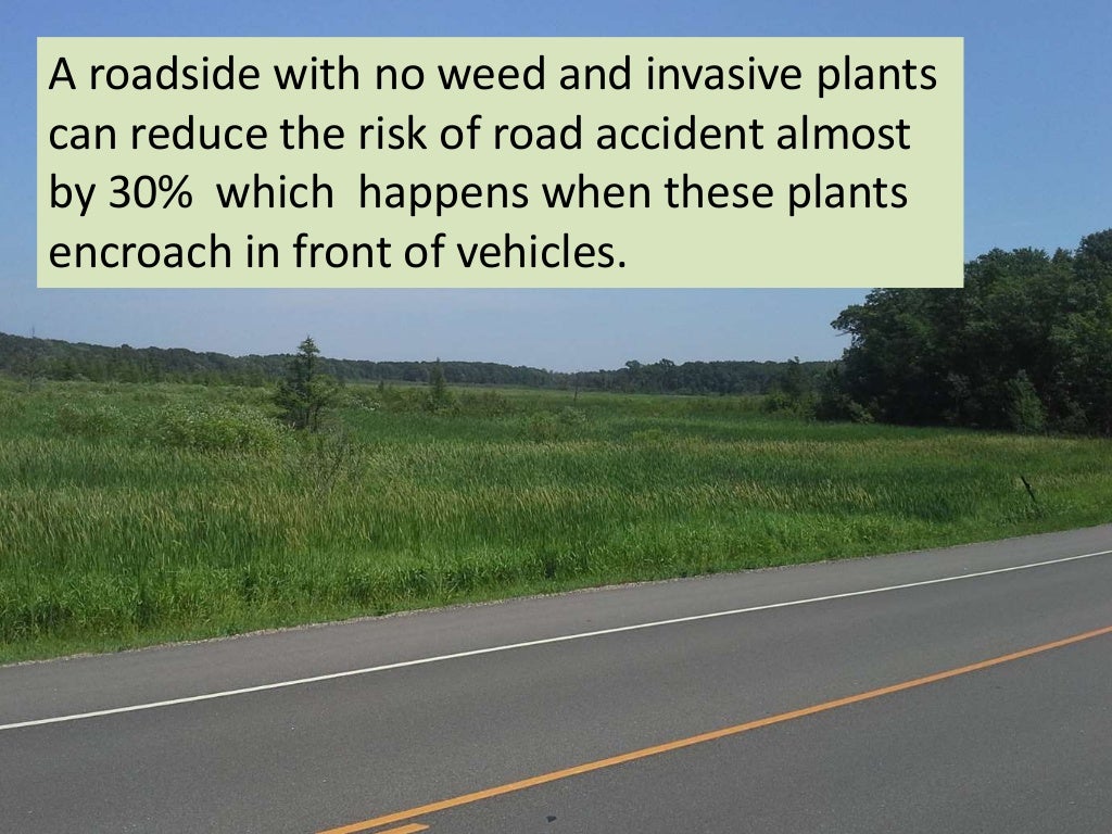 Roadside Weeds Identification and Prevention