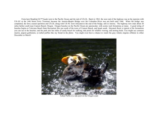 From here Roadtrip-'62 ™ heads west to the Pacific Ocean and the end of US-26. Back in 1962, the west end of the highway was at the junction with
US-101 at the 14th Street Ferry Terminal, because the Astoria-Megler Bridge over the Columbia River was not built until 1966. When the bridge was
completed, the ferry ceased operation and US-26, along with US-30, were relocated to the end of the bridge, still in Astoria. The highway now ends about 20
miles farther south near Cannon Beach, Oregon. Oregon beaches on the Pacific Ocean are spectacular, with scenic rock formations at many. A good string of
beaches begins at Tolovana Beach State Recreation Site just south of the town of Cannon Beach, and heads south. Haystack Rock is typical of the formations
you can see at the beaches, and the park also has miles of sandy beach for walking, tide pools for wildlife viewing, and nesting birds. You might see common
murres, pigeon guillemots, or tufted puffins like my friend in the photo. You might even have a chance to watch the gray whales migrate offshore in either
December or March!
Tufted Puffin in a tide pool on the Oregon coast
 