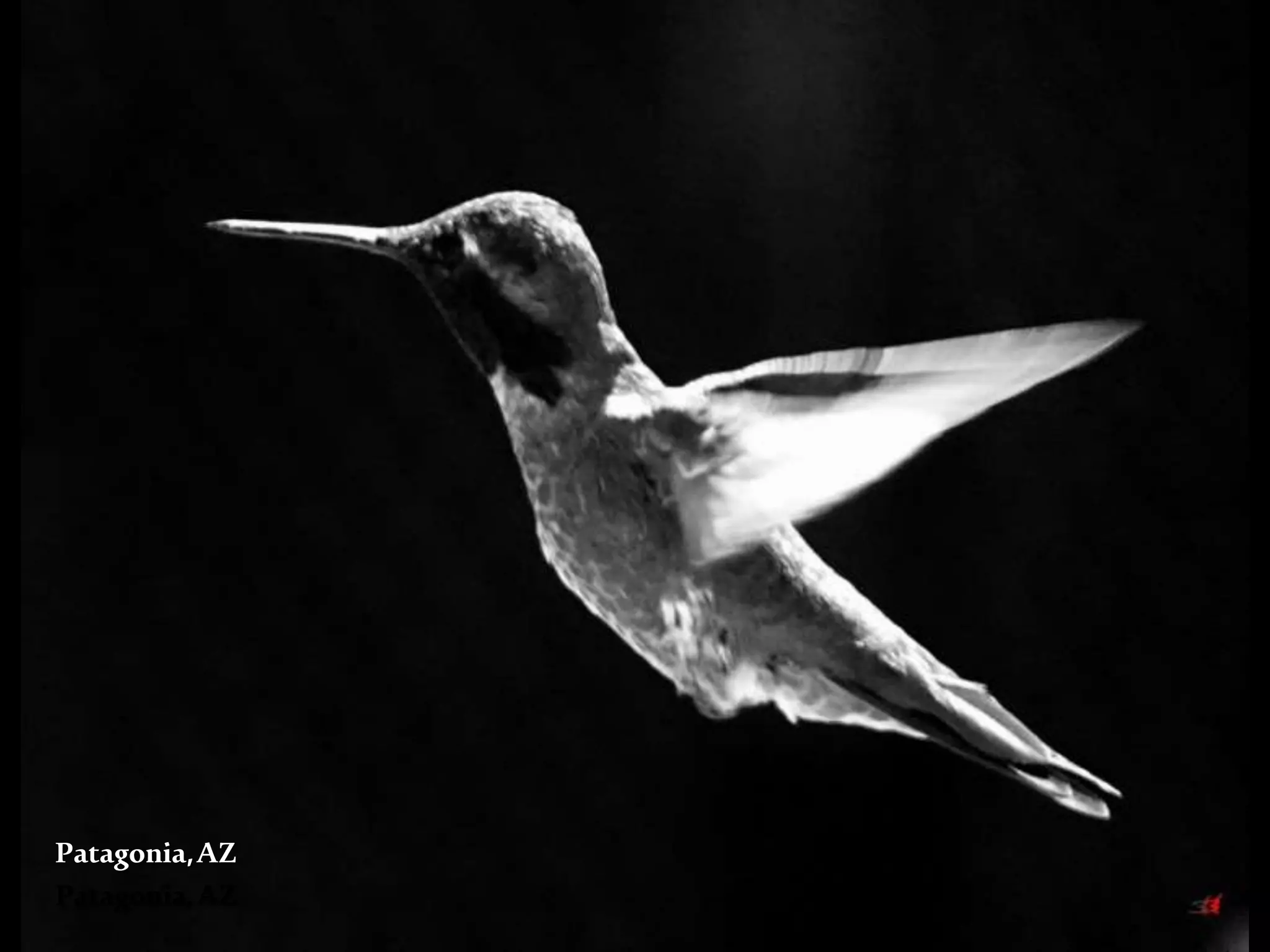 Patagonia,AZ
Patagonia,AZ