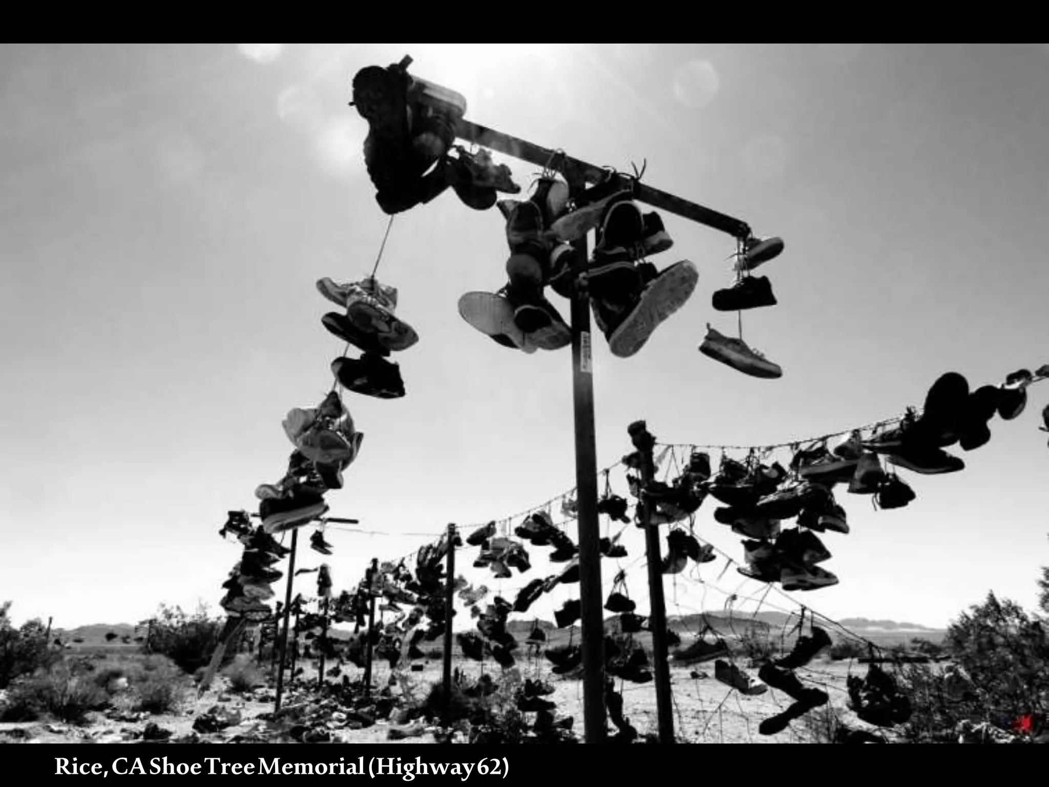 Rice,CAShoeTreeMemorial(Highway62)