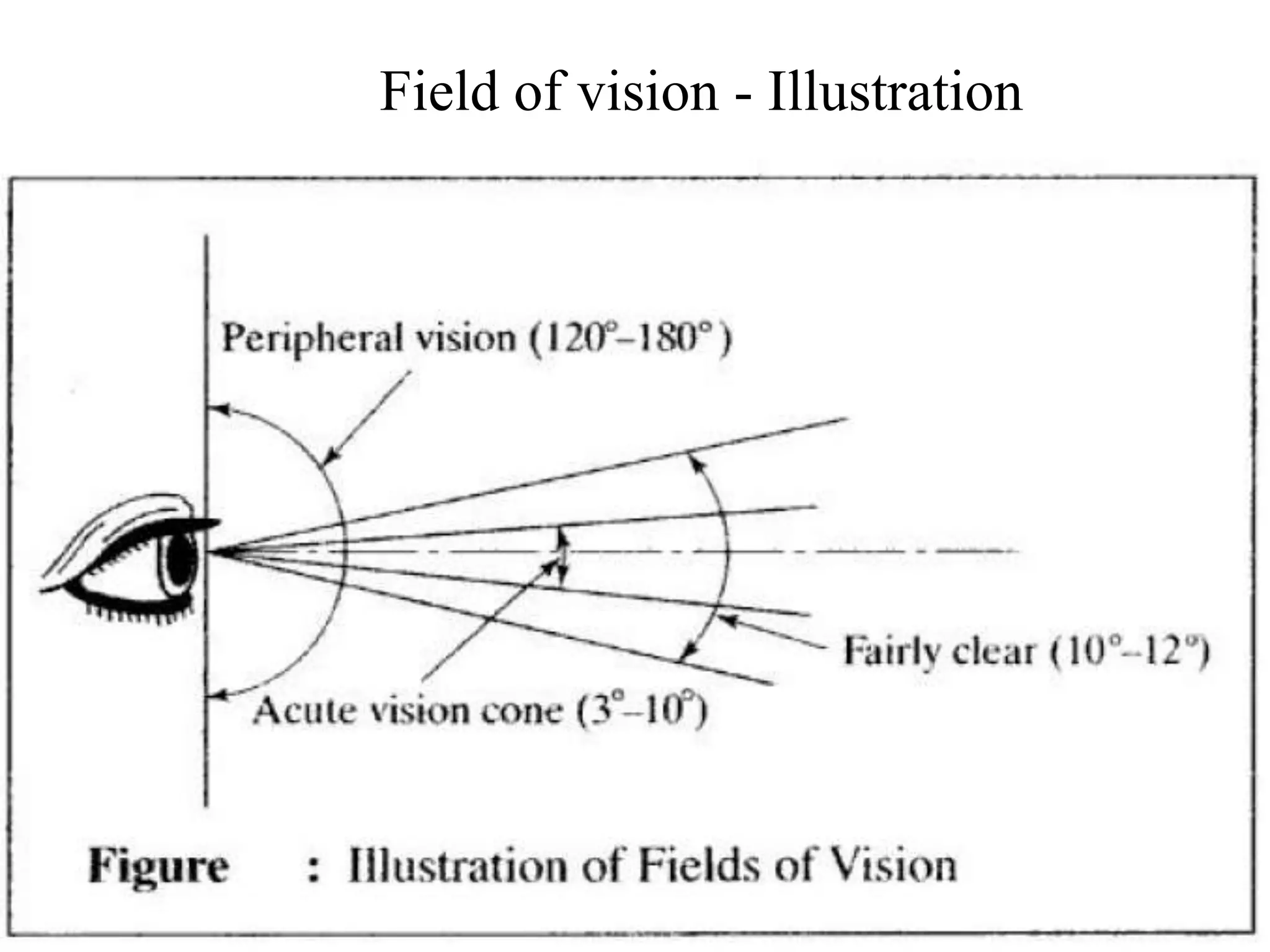 Field of vision - Illustration