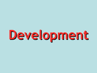DevelopmentDevelopment
 