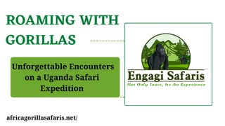 ROAMING WITH
GORILLAS
Unforgettable Encounters
on a Uganda Safari
Expedition
africagorillasafaris.net/
 