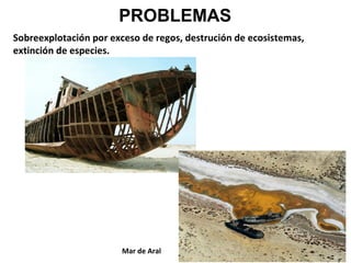 PROBLEMAS
Sobreexplotación por exceso de regos, destrución de ecosistemas,
extinción de especies.

Mar de Aral

 