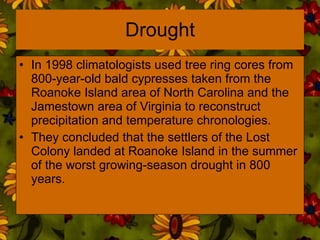 Drought In 1998 climatologists used tree ring cores from 800-year-old bald cypresses taken from the Roanoke Island area of North Carolina and the Jamestown area of Virginia to reconstruct precipitation and temperature chronologies. They concluded that the settlers of the Lost Colony landed at Roanoke Island in the summer of the worst growing-season drought in 800 years.  