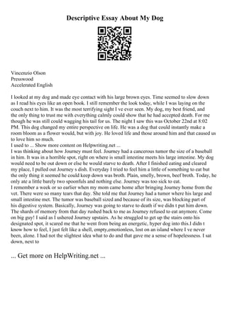 Descriptive Essay About My Dog
Vincenzio Olson
Presswood
Accelerated English
I looked at my dog and made eye contact with his large brown eyes. Time seemed to slow down
as I read his eyes like an open book. I still remember the look today, while I was laying on the
couch next to him. It was the most terrifying sight I ve ever seen. My dog, my best friend, and
the only thing to trust me with everything calmly could show that he had accepted death. For me
though he was still could wagging his tail for us. The night I saw this was October 22nd at 8:02
PM. This dog changed my entire perspective on life. He was a dog that could instantly make a
room bloom as a flower would, but with joy. He loved life and those around him and that caused us
to love him so much.
I used to ... Show more content on Helpwriting.net ...
I was thinking about how Journey must feel. Journey had a cancerous tumor the size of a baseball
in him. It was in a horrible spot, right on where is small intestine meets his large intestine. My dog
would need to be out down or else he would starve to death. After I finished eating and cleared
my place, I pulled out Journey s dish. Everyday I tried to feel him a little of something to eat but
the only thing it seemed he could keep down was broth. Plain, smelly, brown, beef broth. Today, he
only ate a little barely two spoonfuls and nothing else. Journey was too sick to eat.
I remember a week or so earlier when my mom came home after bringing Journey home from the
vet. There were so many tears that day. She told me that Journey had a tumor where his large and
small intestine met. The tumor was baseball sized and because of its size, was blocking part of
his digestive system. Basically, Journey was going to starve to death if we didn t put him down.
The shards of memory from that day rushed back to me as Journey refused to eat anymore. Come
on big guy! I said as I ushered Journey upstairs. As he struggled to get up the stairs onto his
designated spot, it scared me that he went from being an energetic, hyper dog into this.I didn t
know how to feel, I just felt like a shell, empty,emotionless, lost on an island where I ve never
been, alone. I had not the slightest idea what to do and that gave me a sense of hopelessness. I sat
down, next to
... Get more on HelpWriting.net ...
 