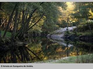 O Arnoia en Xunqueira de Ambía.
 