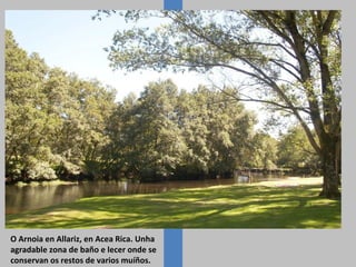 O Arnoia en Allariz, en Acea Rica. Unha
agradable zona de baño e lecer onde se
conservan os restos de varios muíños.
 