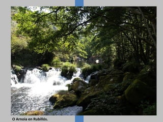 O Arnoia en Rubillós.
 