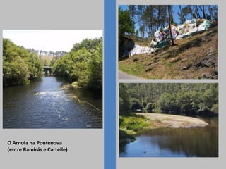 O Arnoia na Pontenova
(entre Ramirás e Cartelle)
 