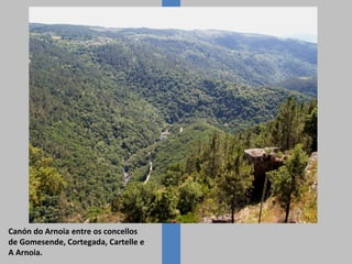 Canón do Arnoia entre os concellos
de Gomesende, Cortegada, Cartelle e
A Arnoia.
 
