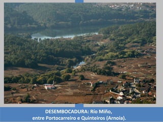 DESEMBOCADURA: Río Miño,
entre Portocarreiro e Quinteiros (Arnoia).
 