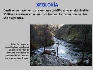 XEOLOXÍA
Desde o seu nacemento ata xuntarse co Miño salva un desnivel de
1550 m e encáixase en numerosos tramos. As rochas dominantes
son os granitos.
Antes de chegar ao
concello da Arnoia forma
un canón de 7 km de
lonxitude onde salva un
desnivel de 300 metros,
entre penedías e fragas.
 