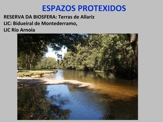 ESPAZOS PROTEXIDOS
RESERVA DA BIOSFERA: Terras de Allariz
LIC: Bidueiral de Montederramo,
LIC Río Arnoia
 