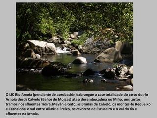 O LIC Río Arnoia (pendiente de aprobación): abrangue a case totalidade do curso do río
Arnoia desde Calvelo (Baños de Molgas) ata a desembocadura no Miño, uns curtos
tramos nos afluentes Tioira, Meván e Gato, as Brañas de Calvelo, os montes de Requeixo
e Casnaloba, o val entre Allariz e Freixo, os cavorcos de Escudeiro e o val do río e
afluentes na Arnoia.
 